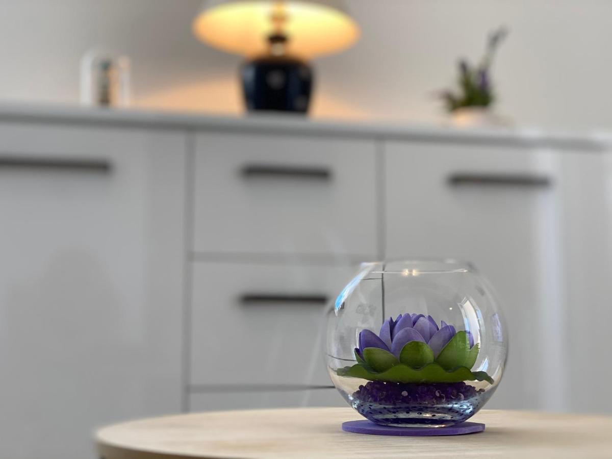 טרוגיר Apartment Tihana מראה חיצוני תמונה